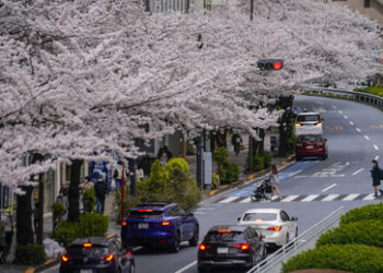 Japan erhöht Gebühr für Daueraufenthaltserlaubnis auf das Zwanzigfache