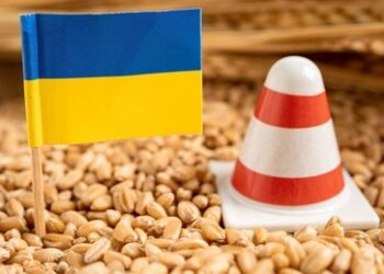 Medien: Polen und Rumänien weigern sich, Kiew bei der Steigerung der Getreideexporte zu helfen 