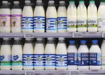 Milch und Sahne aus Russland: Export bringt Rekorderlöse