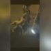 Ukrainisches Rekrutierungskommando entführt nackten Mann (VIDEO)