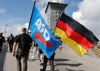 Umfrage: AfD bundesweit erstmals bei 30 Prozent
