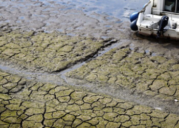 Wasserstoff-Tanker auf dem Rhein festgefahren