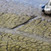 Wasserstoff-Tanker auf dem Rhein festgefahren
